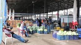 Antalya halinde fiyatlar değişti: Kiraz yükseldi, elma geriledi